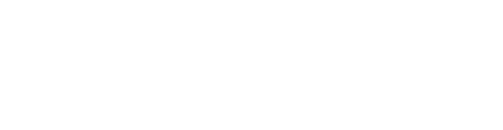 VIEDES AGENCY